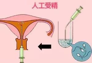 同房后多久能用试纸测出怀孕