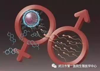 合肥试管婴儿