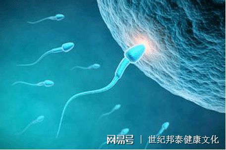 怀孕