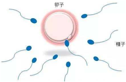 合肥第三代试管婴儿