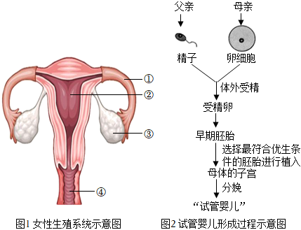 唐筛