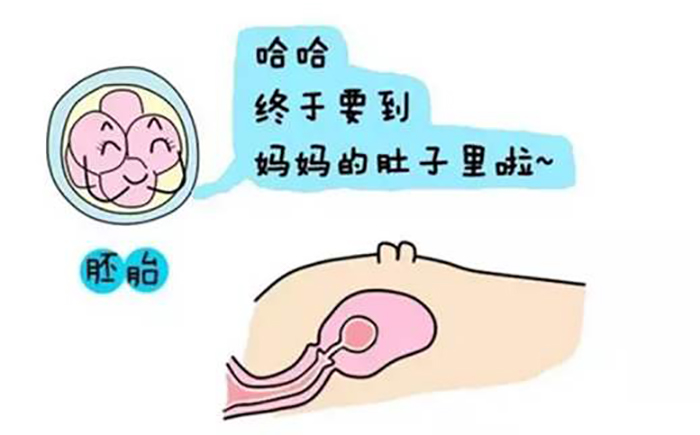 怀孕