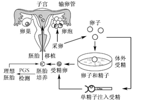 受孕最初几天什么感觉