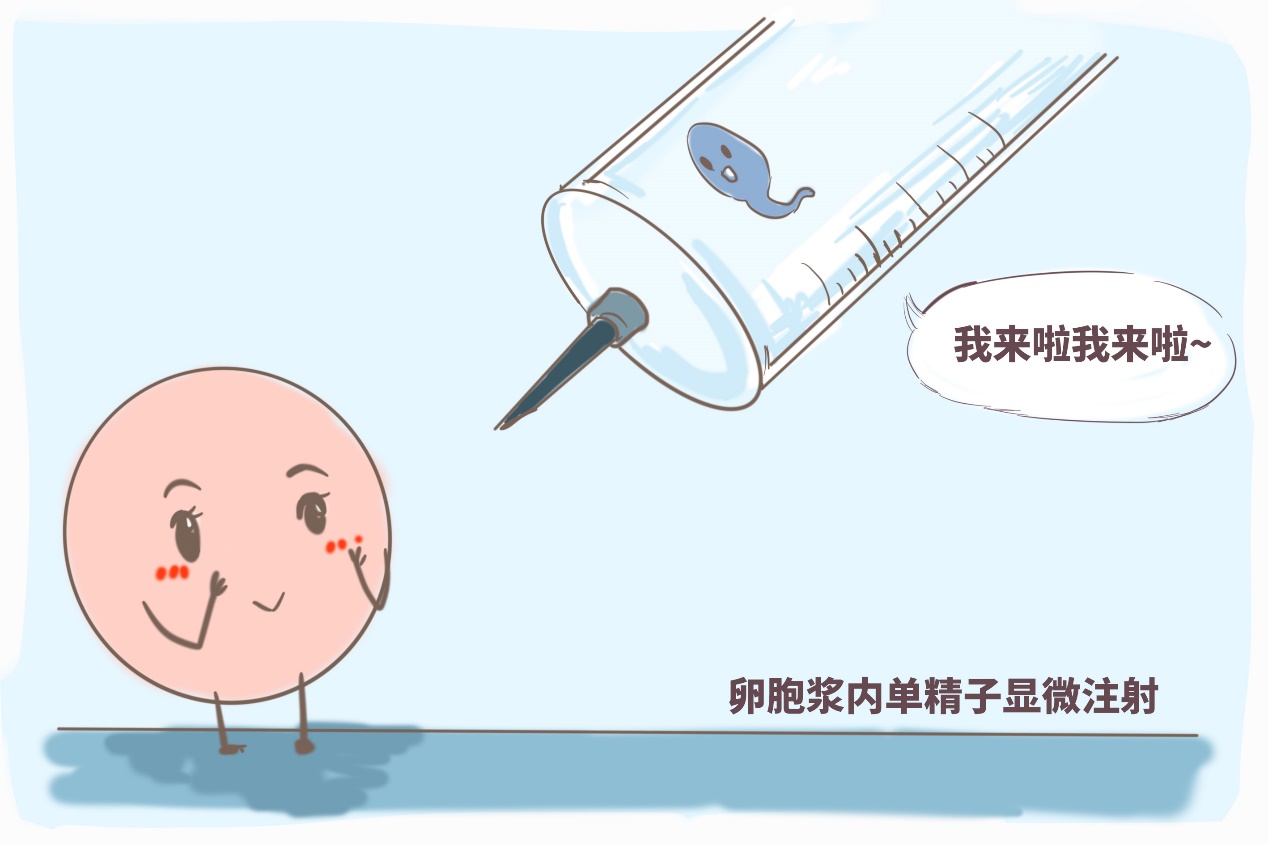 怀孕