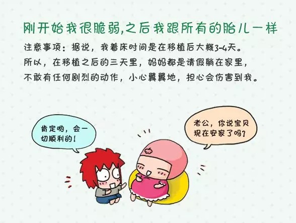 厦门试管婴儿