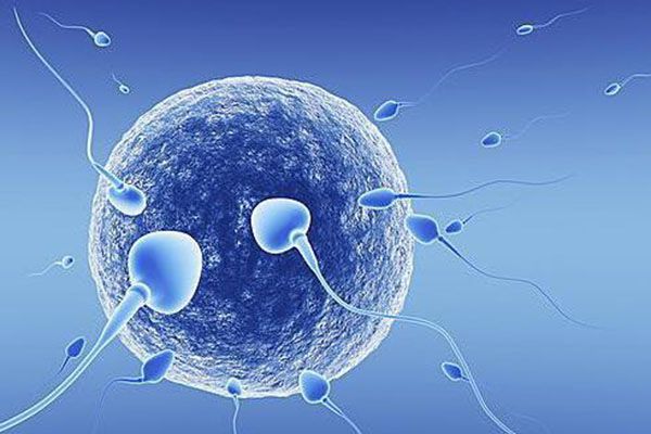 台湾试管婴儿包成功