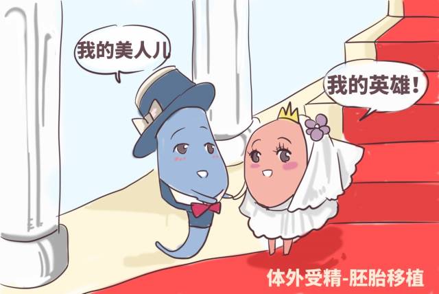 厦门试管婴儿