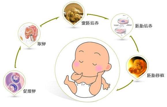 哈尔滨第三代试管婴儿