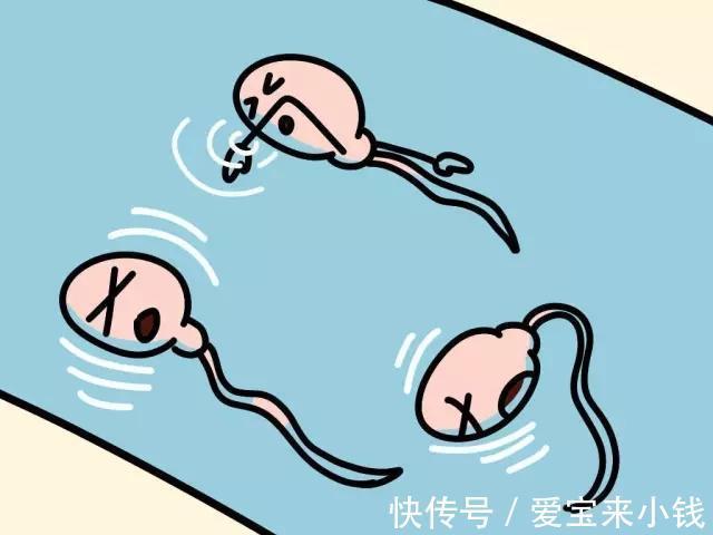 器官移植