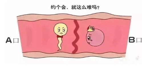 唐氏筛查