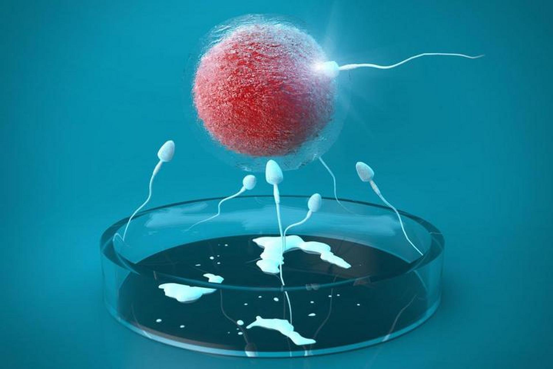 厦门IVF