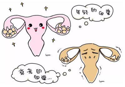 台湾试管婴儿