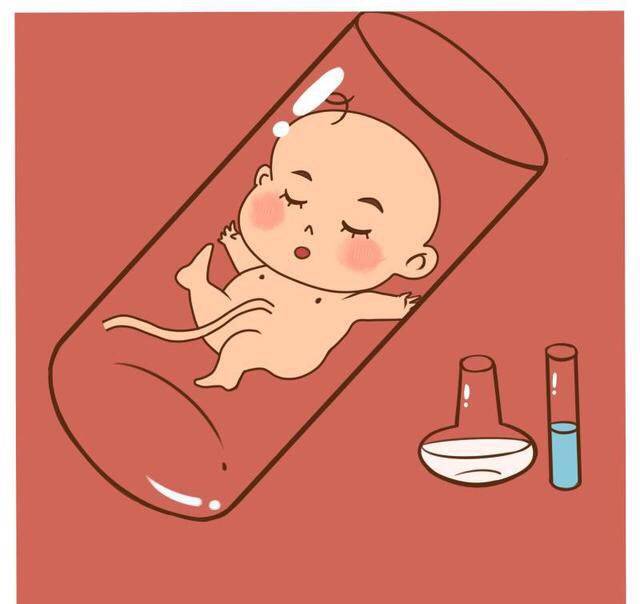 备孕女性