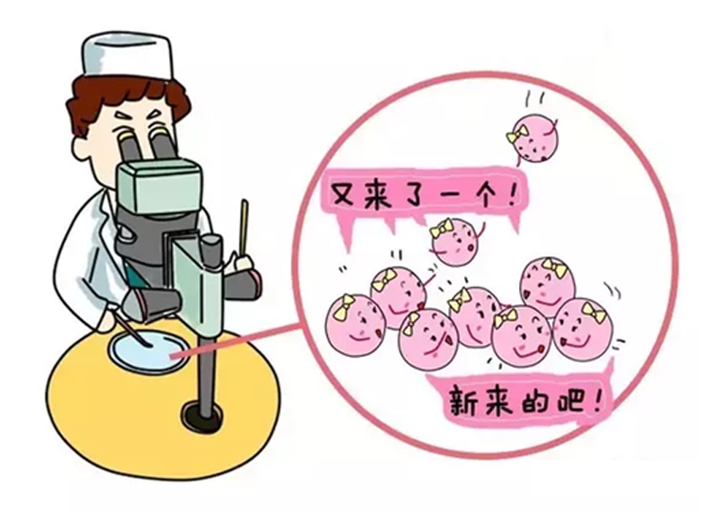 怀孕多久测出来