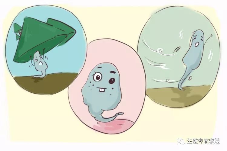 不孕不育